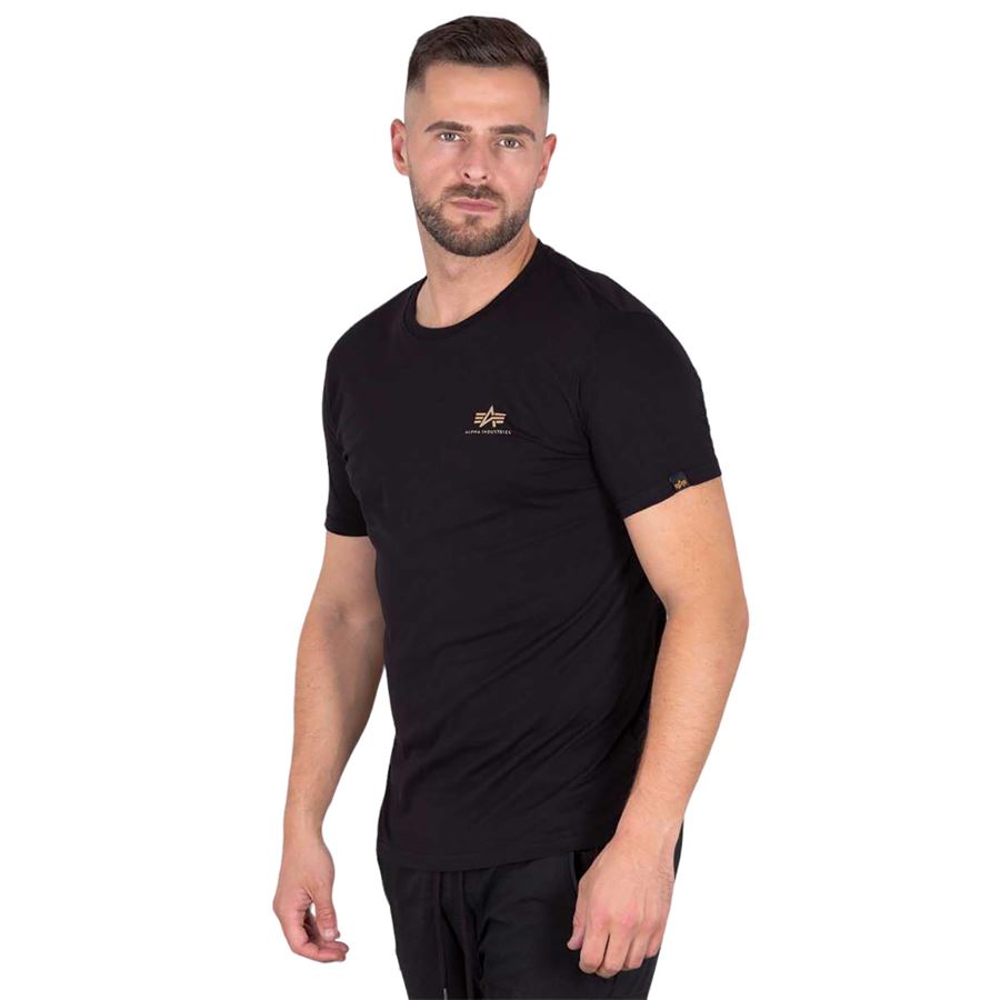 Backprint t camo print t-shirt da uomo Alpha Industries | 128507CP380